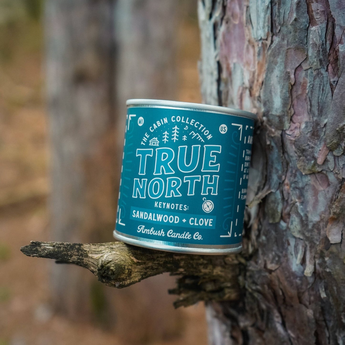 A canopy of True North sandalwood and clove soy candle placed on a rustic wooden surface with a tree in the background.