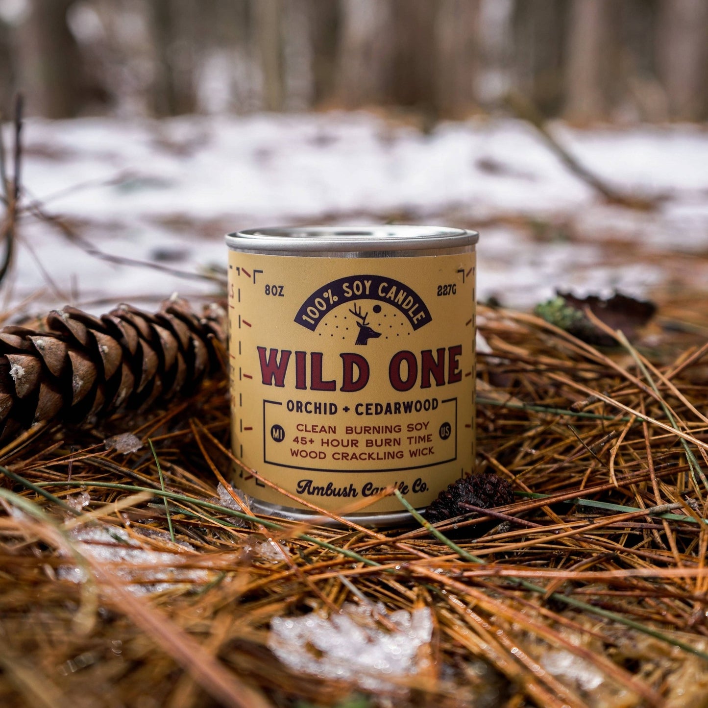 Wild One Orchid and Cedarwood Candle