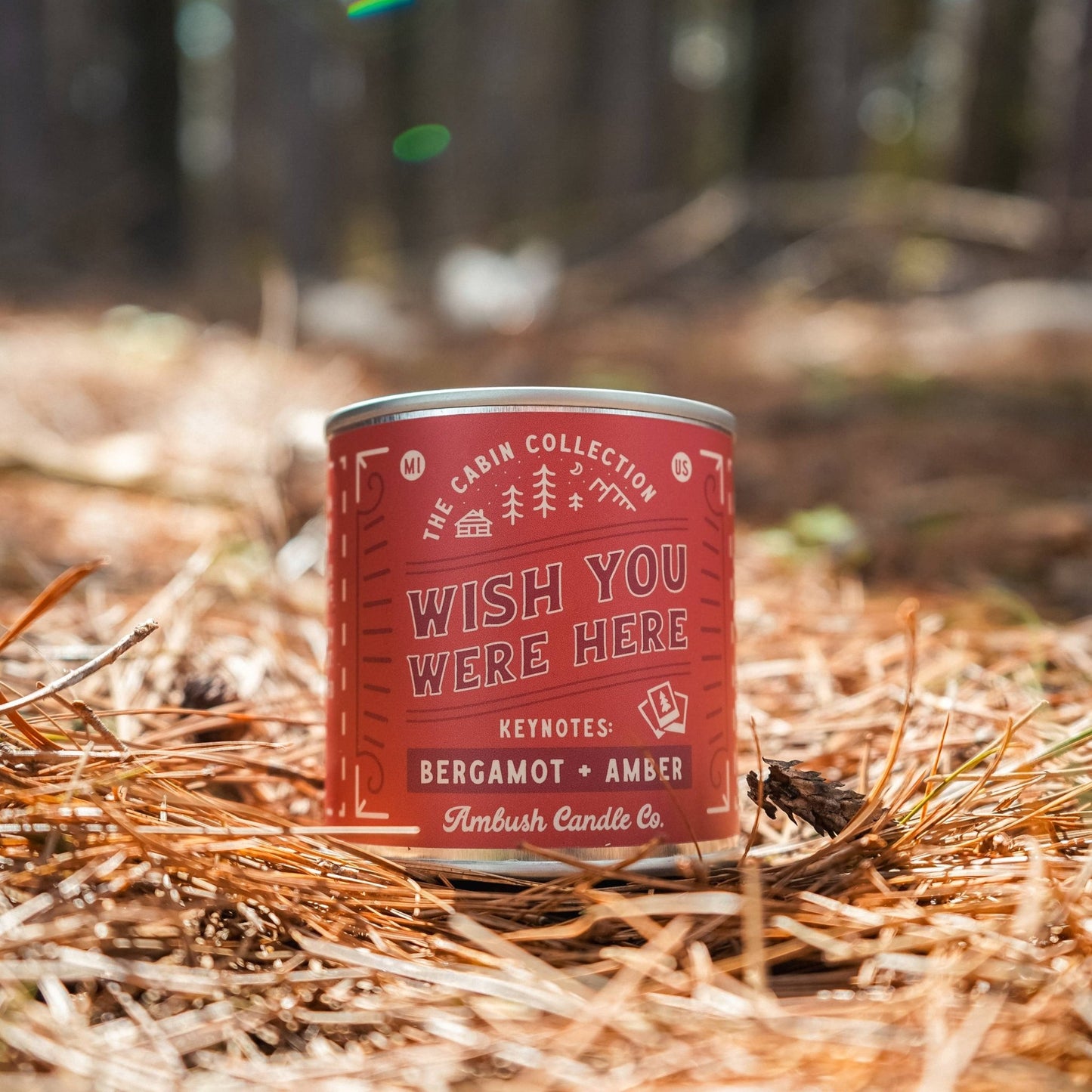 A red tin candle with 'The Cabin Collection' and 'Wish You Were Here' text, placed on a bed of pine needles.