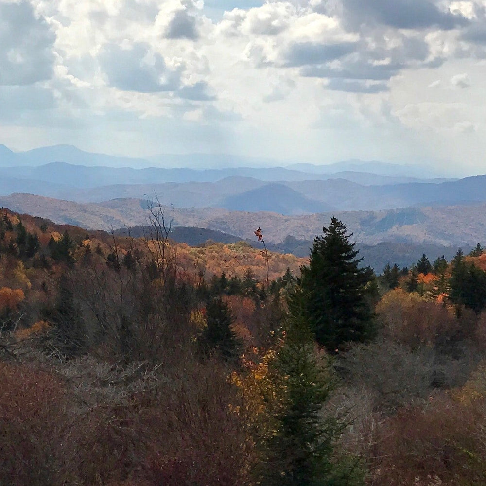 Appalachian Trail, photographed  by Scott Longerbeam