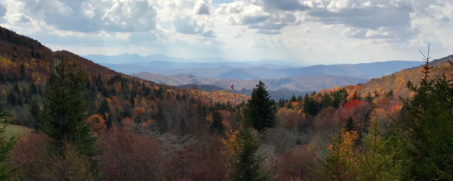 Appalachian Trail, photographed  by Scott Longerbeam