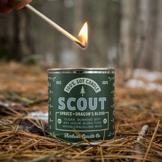 Scout | Spruce + Dragons Blood 8oz Soy Candle