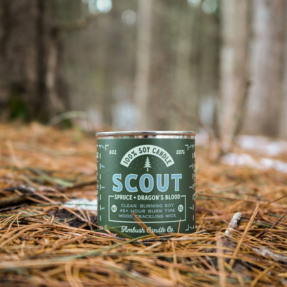 Scout | Spruce + Dragons Blood 8oz Soy Candle