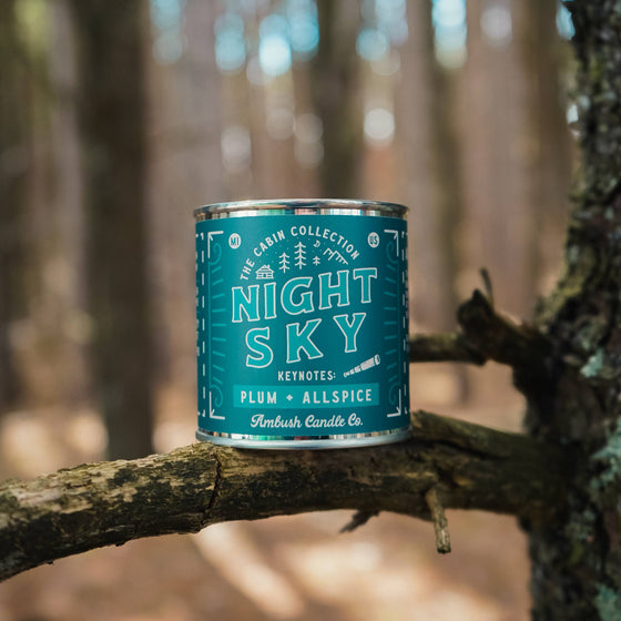 Night Sky | Plum + Allspice 8oz Soy Candle