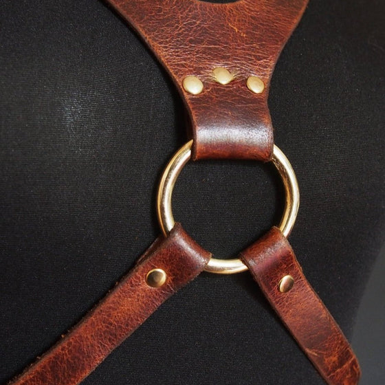 Hardware used in the custom leather harness.