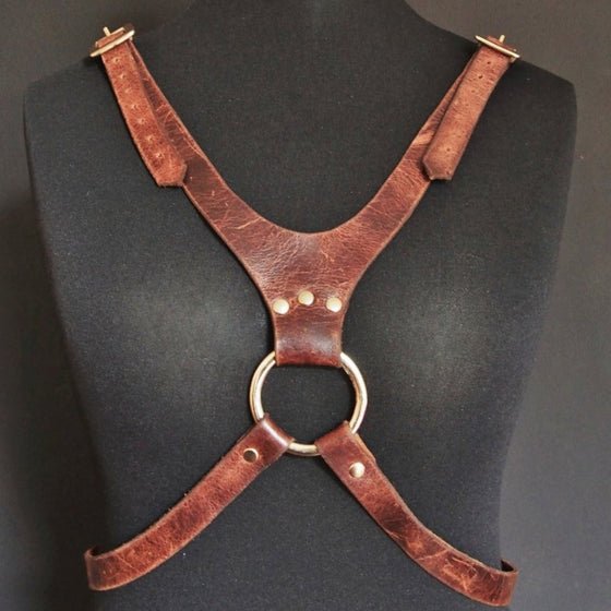 Full posterior view of the custom leather harness.